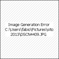 Art. VIT-PH 0007 Kalit