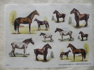 Art. AG070G