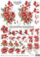 Art. 3D003 Decomania